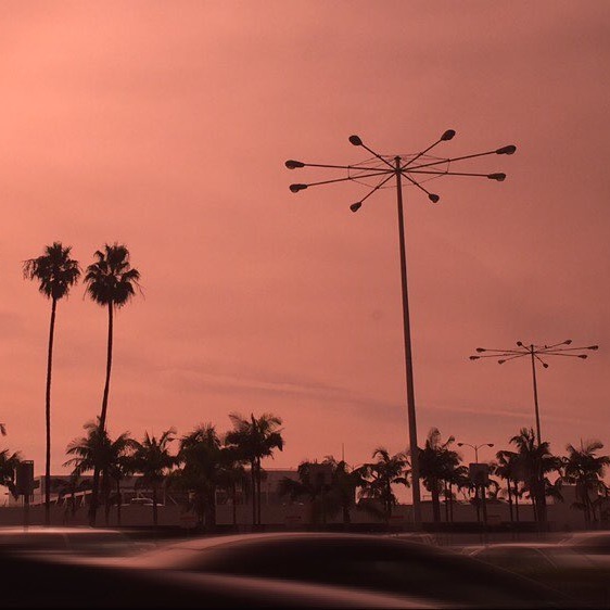 Sunday Drive #15