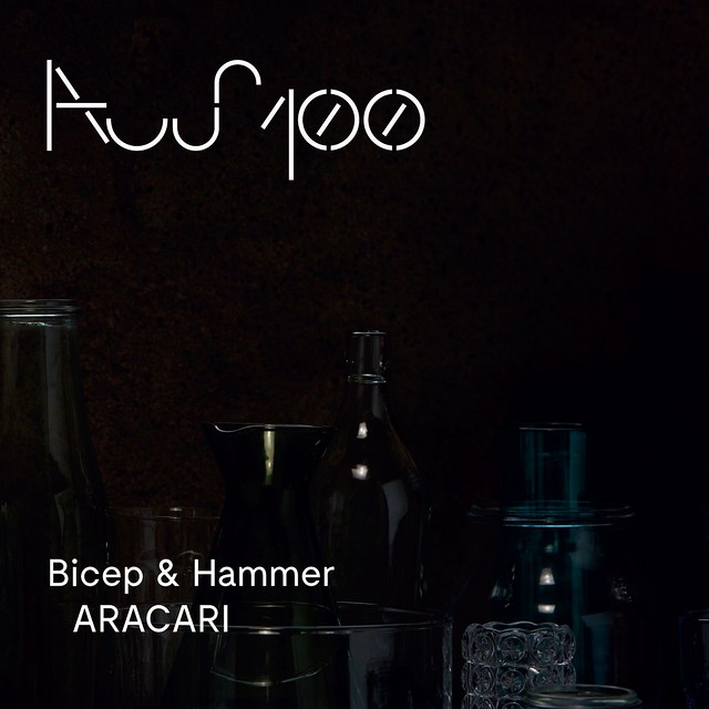 Bicep & Hammer: “ARACARI”