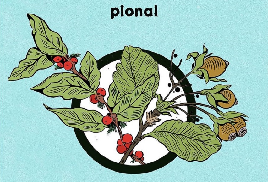 Pional: “Casualty”