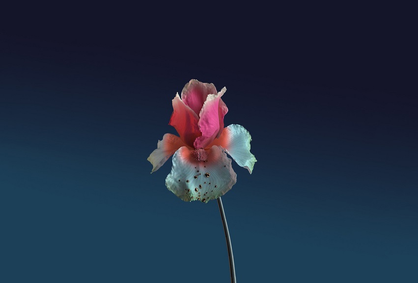 Flume feat. Beck: “Tiny Cities (Lindstrøm & Prins Thomas Remix)”